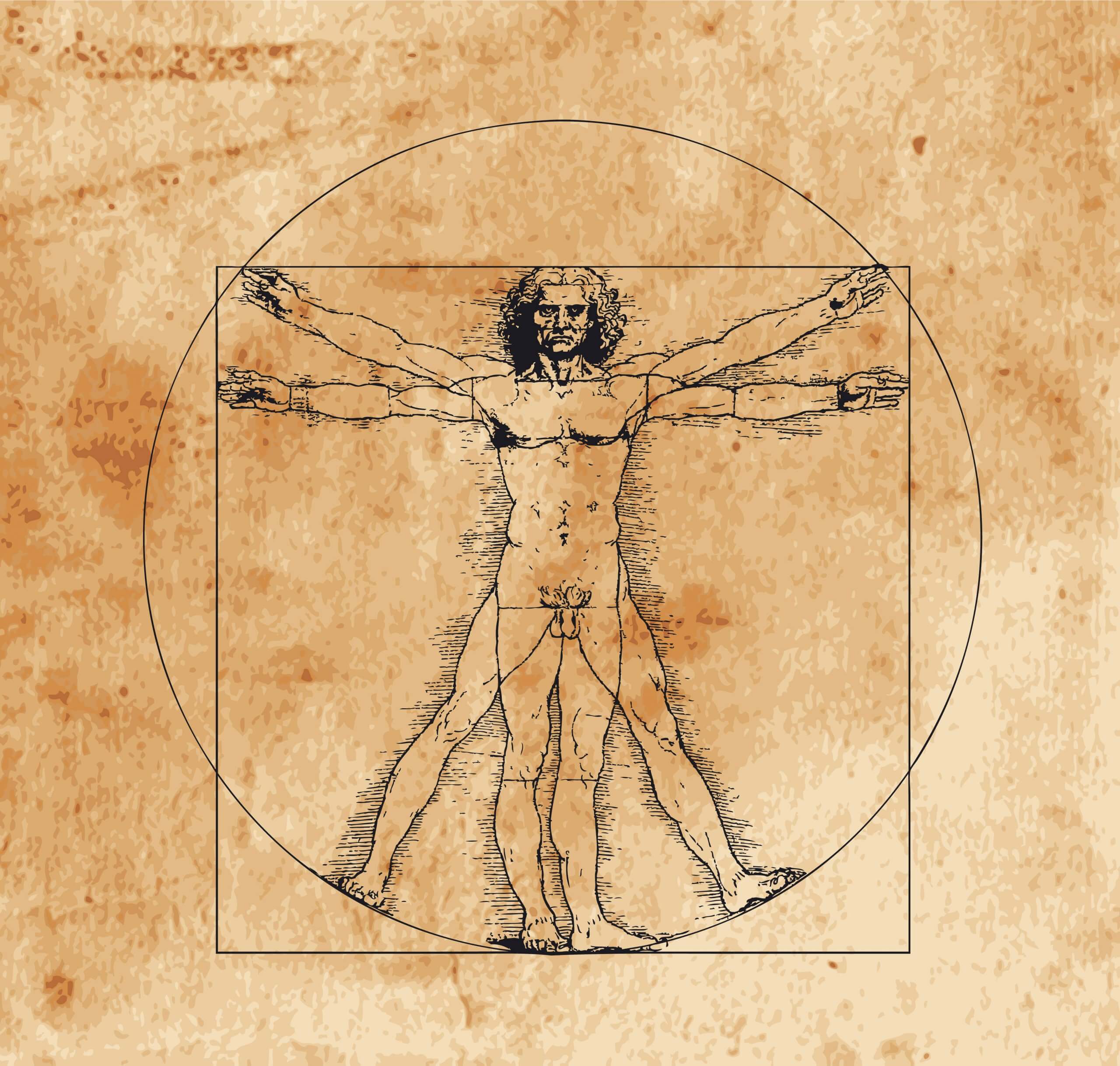 A highly stylized drawing of vitruvian man with crosshatching and sepia tones