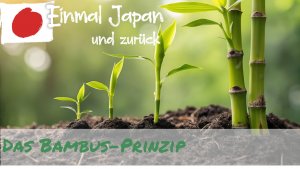 2026-Blog4-Fruehling_Bambusprinzip