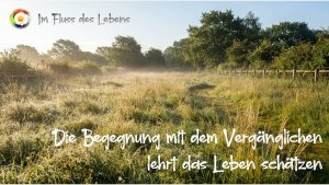 2026-Blog8-Vergaengliches-Wertschaetzung